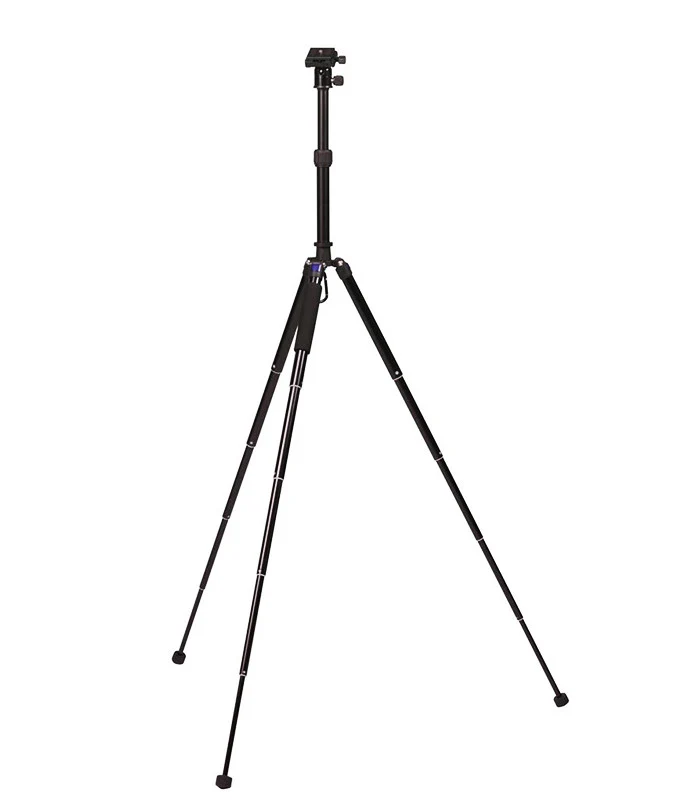 Miniatuur 2